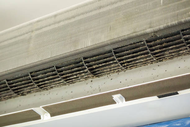 Best Air Duct Cleaning Near Me  in Lake Catherine, IL