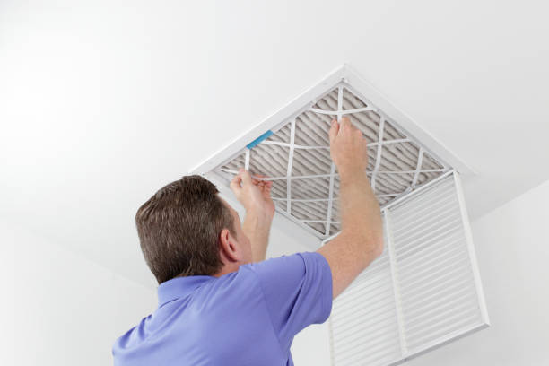Best Air Duct Cleaning Near Me  in Lake Catherine, IL